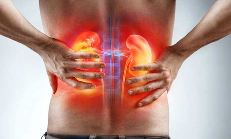 Böbrek Ağrısı Nasıl Oluşur Ve Oluşmadan Önce Ne Tür belirtiler Verir? 1 Böbrek Ağrısı Nasıl Oluşur Ve Oluşmadan Önce Ne Tür belirtiler Verir? 1